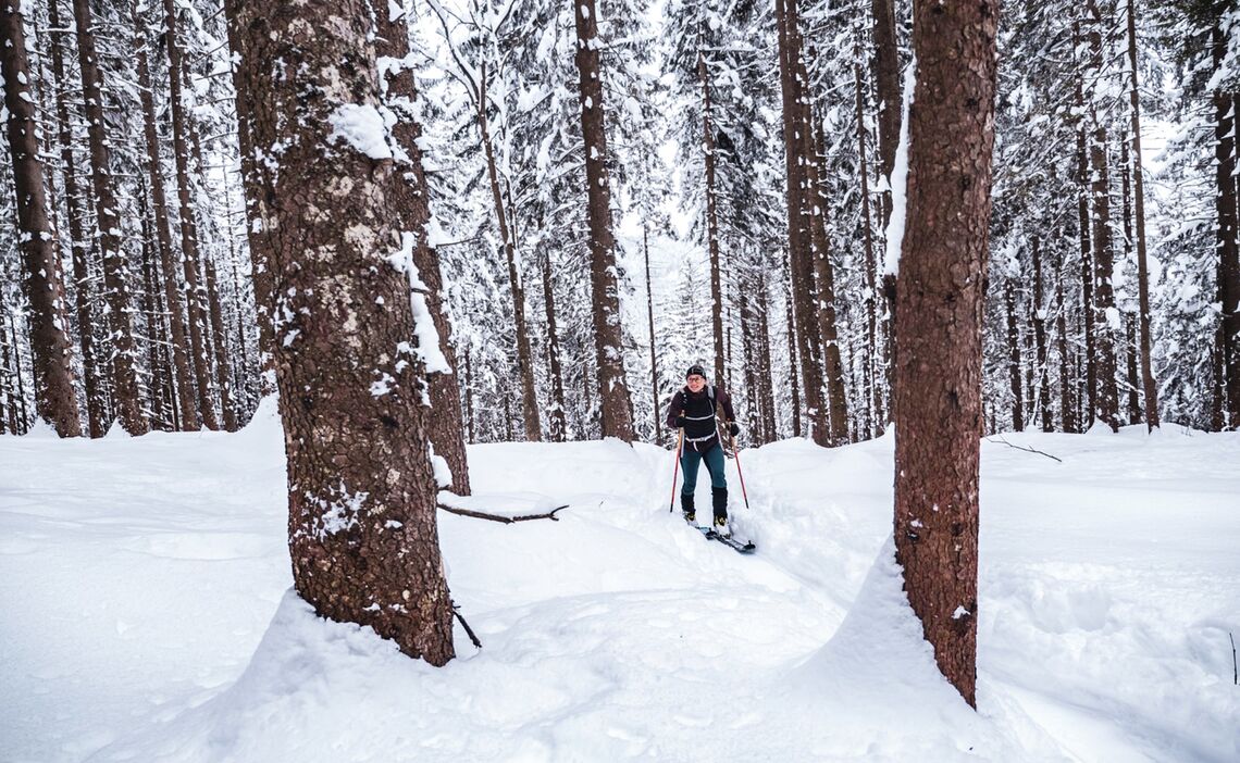 Skitour durch den verschneiten Wald