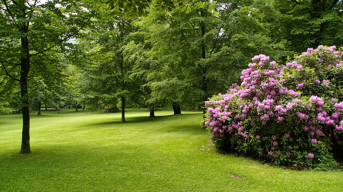 Karlspark 3