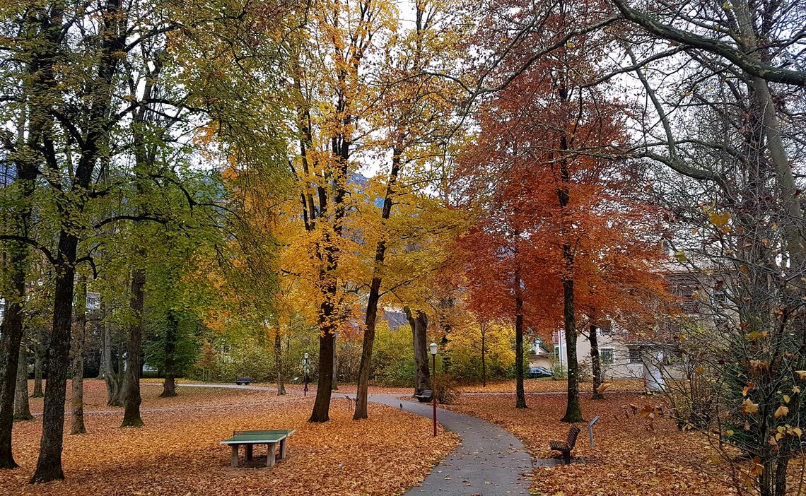 Karlspark im Herbst