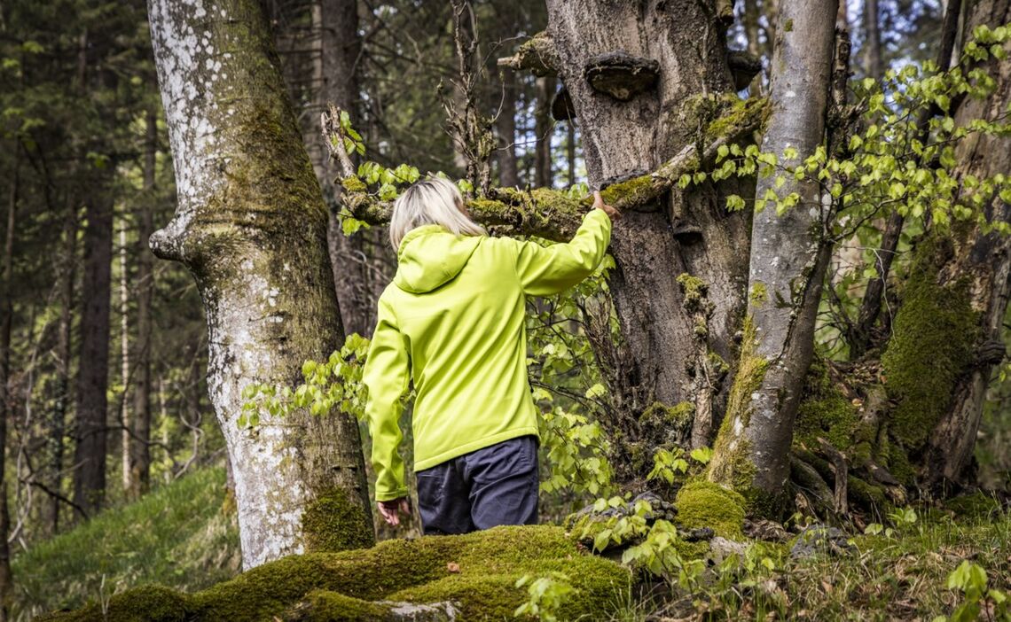 Natur erfühlen