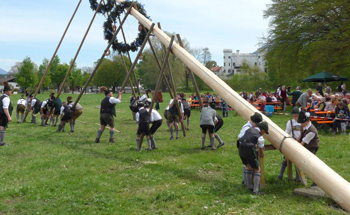 Raising the maypole in Marzoll