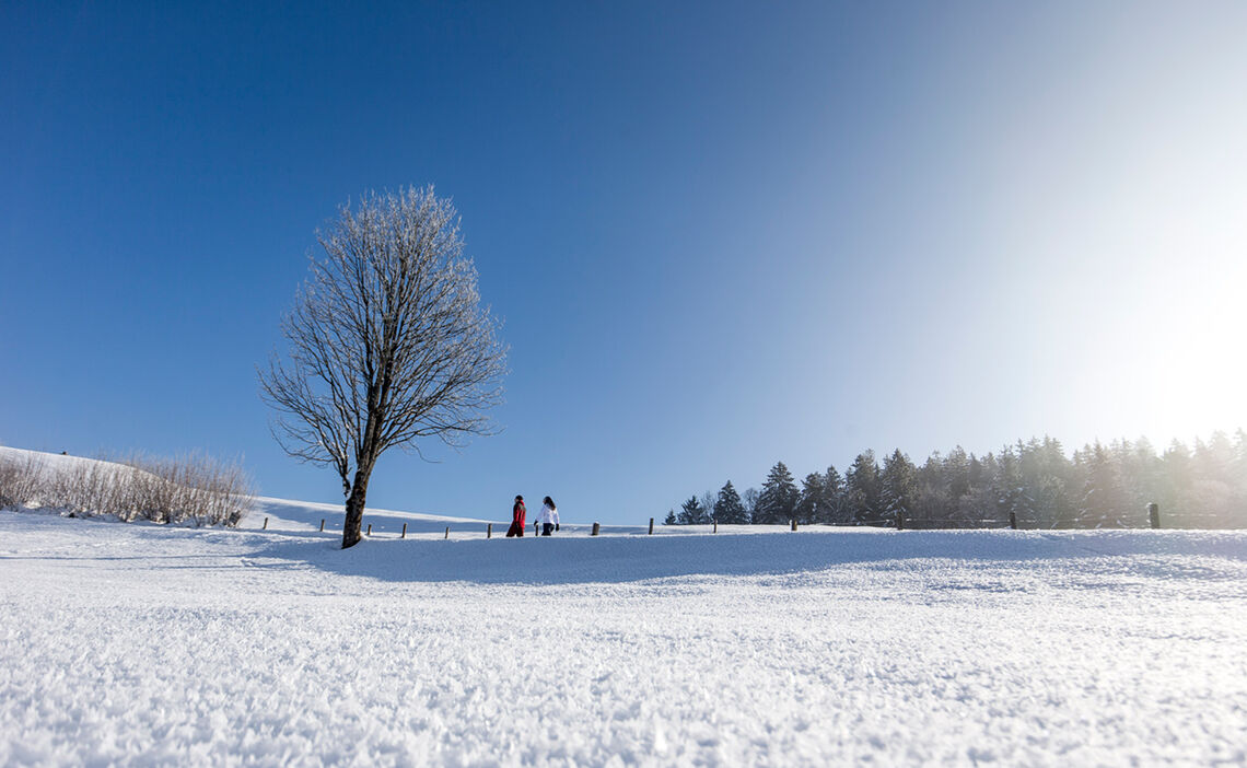 Shimmering snow